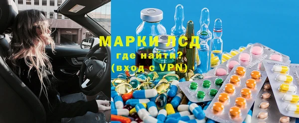 PSILOCYBIN Алзамай