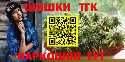 хмурый Камышлов
