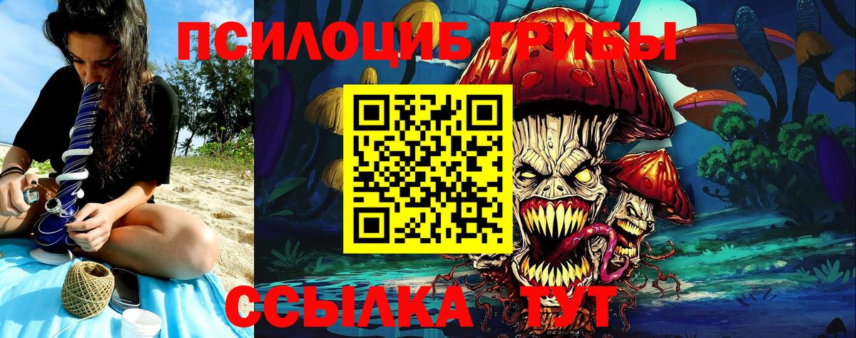 Галлюциногенные грибы мухоморы Минусинск