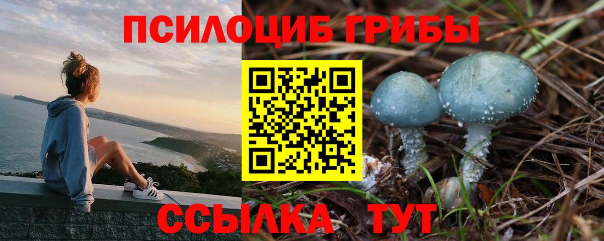 Галлюциногенные грибы Cubensis  Вход с VPN  Минусинск 
